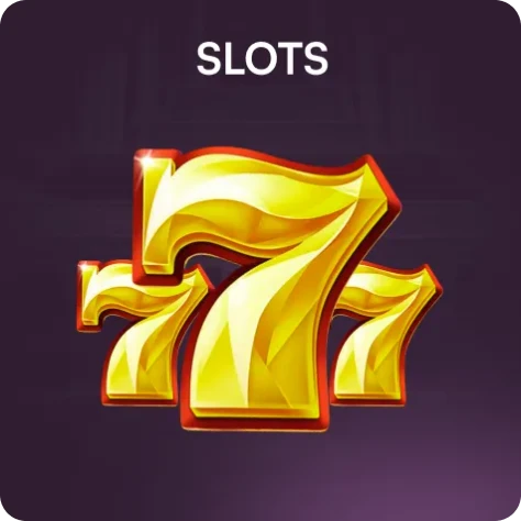 slots du88